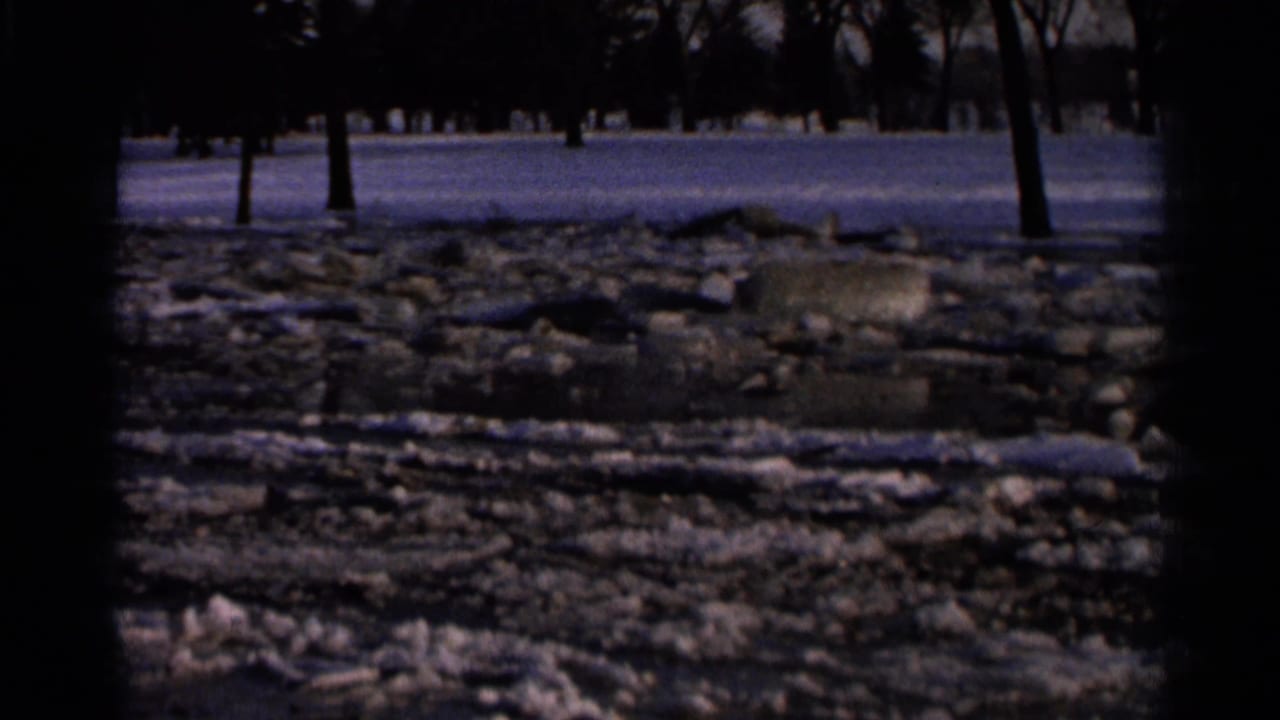Snowy pond edge with broken ice, stones, and trees in the background.