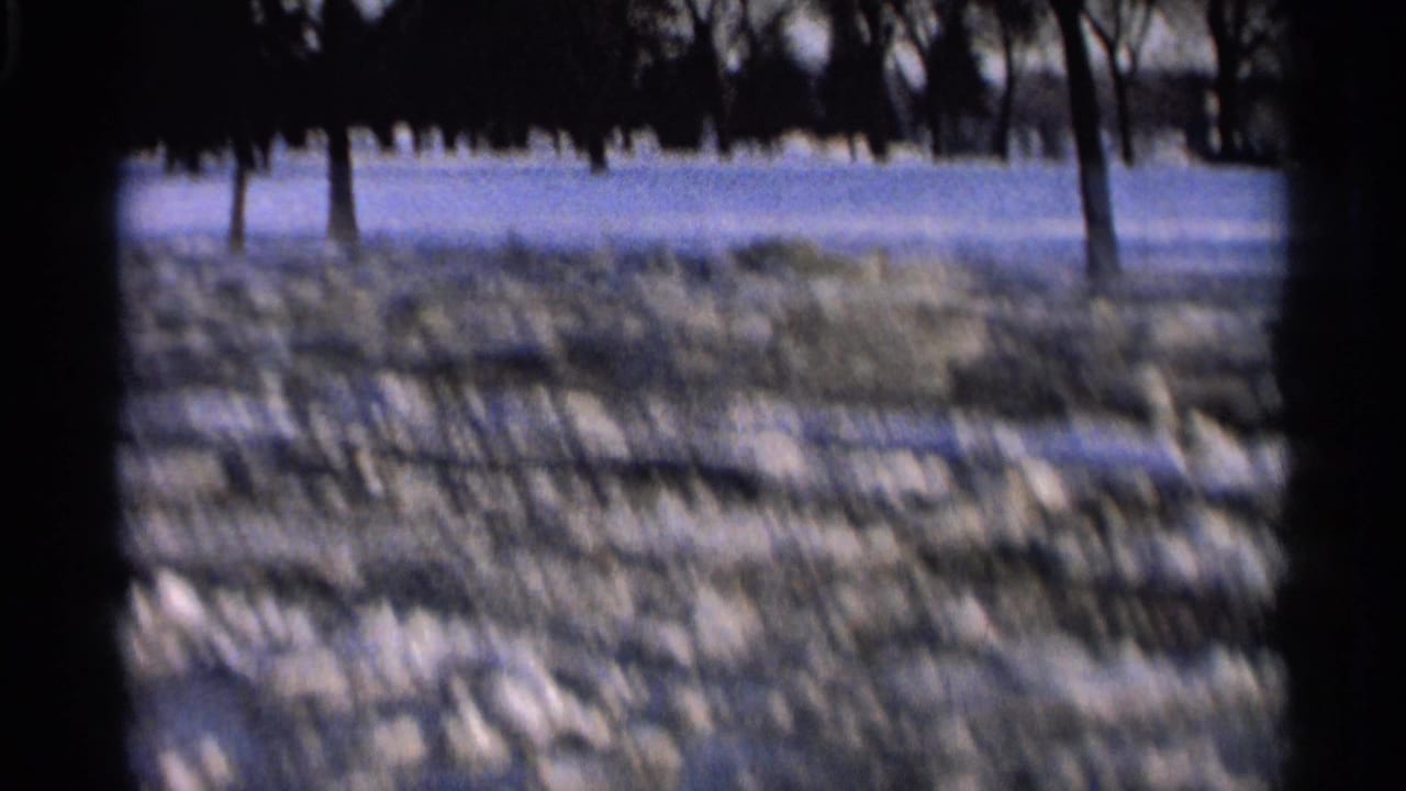 Snow-covered field and dark tree trunks seen through soft, blurred 8mm framing.