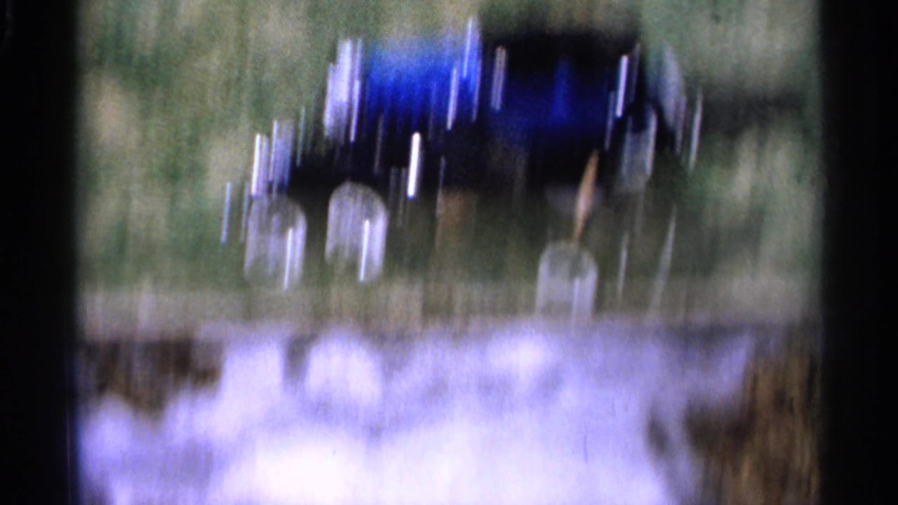 Blurred blue toy car crossing a grassy area.