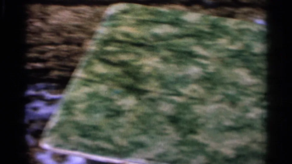 A shaky frame shows blurred grass and ground texture, with the toy car no longer clearly visible in the sampled still.