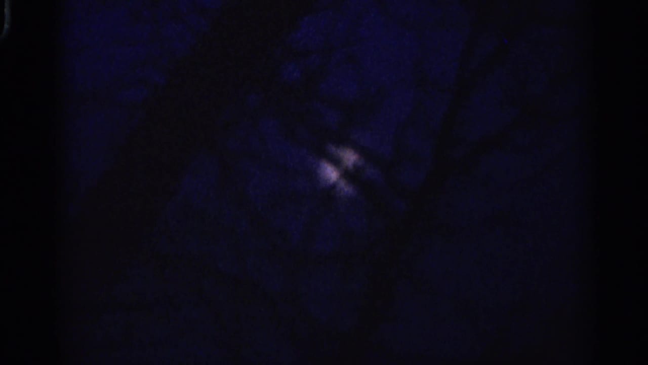 Dark 1966 Hamel, Minnesota 8mm frame with faint dawn glow behind silhouetted bare trees.