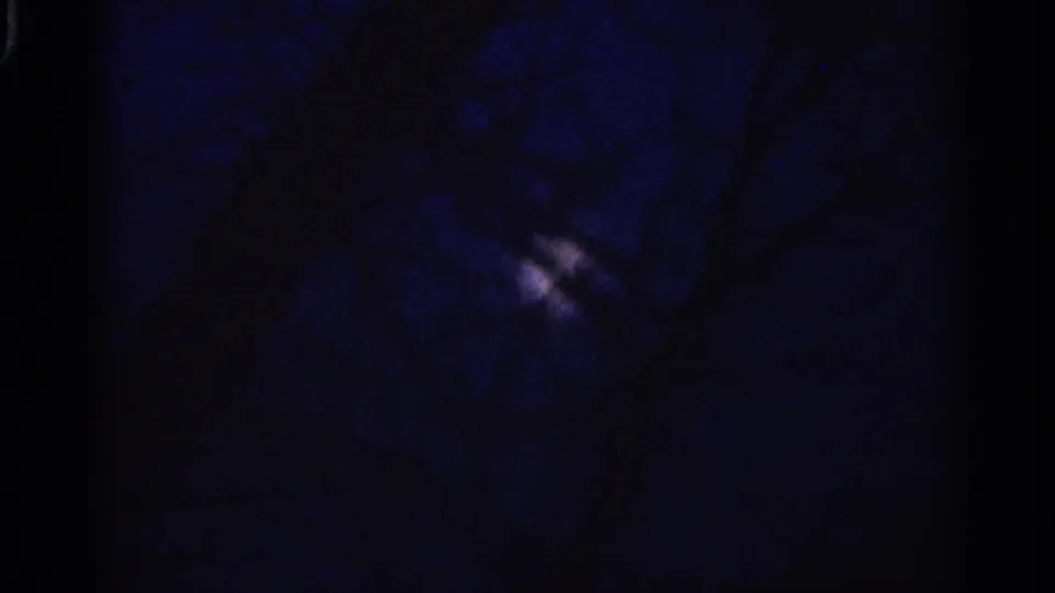 Dark 1966 Hamel, Minnesota 8mm frame with faint dawn glow behind silhouetted bare trees.
