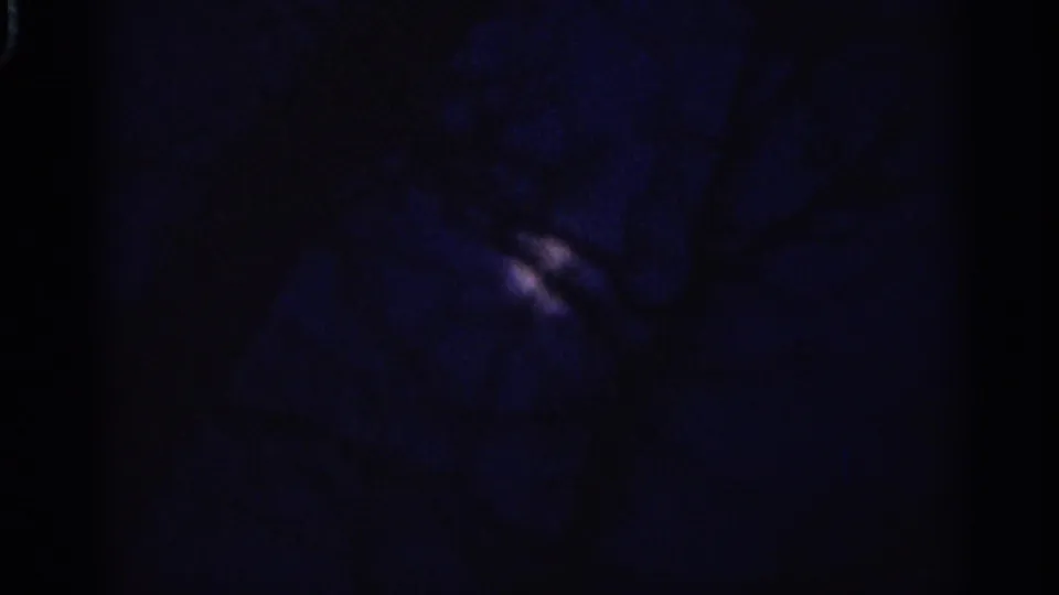 Early dawn view in Hamel, Minnesota, with dim purple light and tree silhouettes on 8mm film.