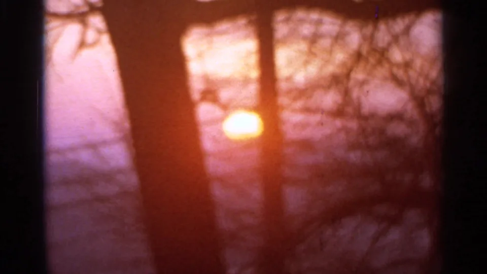 Warm sunrise through bare Hamel, Minnesota trees, filmed in soft 1966 8mm color.