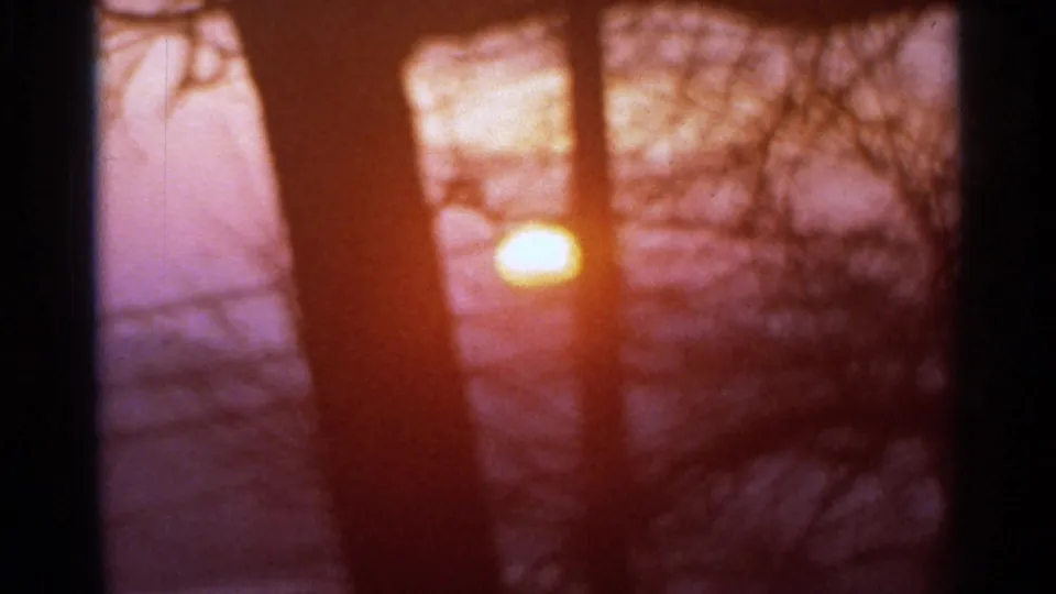 Brightening 1966 8mm sunrise in Hamel, Minnesota, seen through dark tree silhouettes.