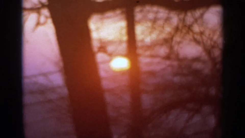 1966 8mm frame from Minnesota home-movie footage showing a soft sunset through silhouetted tree trunks and bare branches.