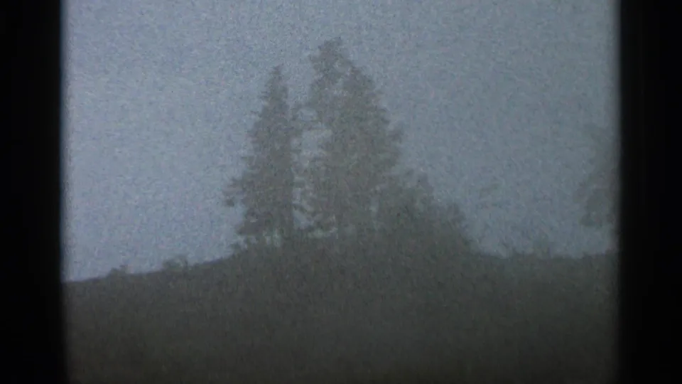 Foggy 1966 8mm landscape frame with pine trees and a low hillside softened by haze near Hamel, Minnesota.