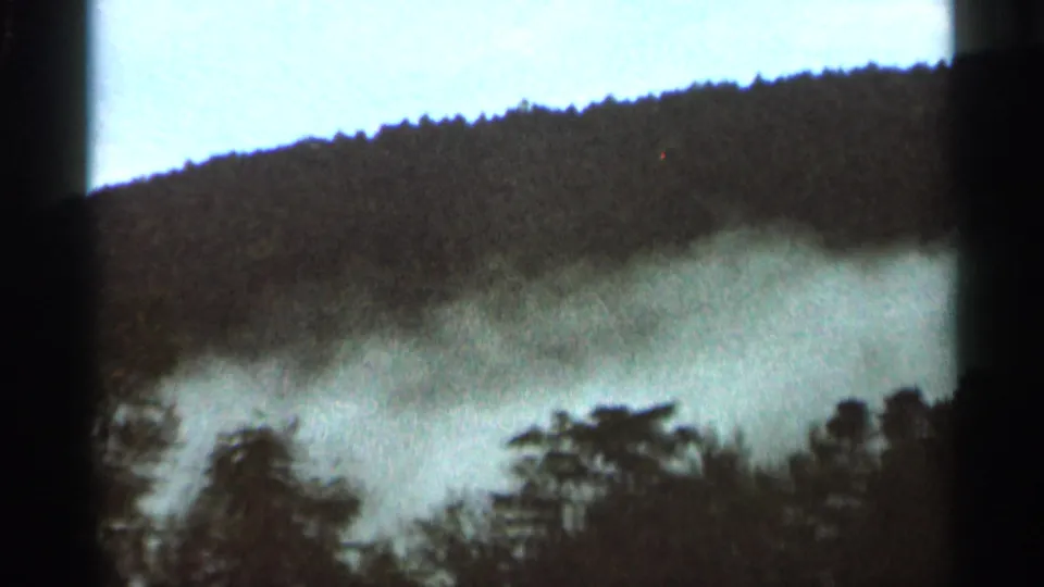 Close view of pale smoke spreading over dark trees and hillside in the Hamel, Minnesota forest fire footage.