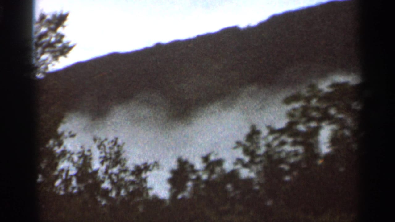Fog drifts across a wooded hillside with dark trees in the foreground.