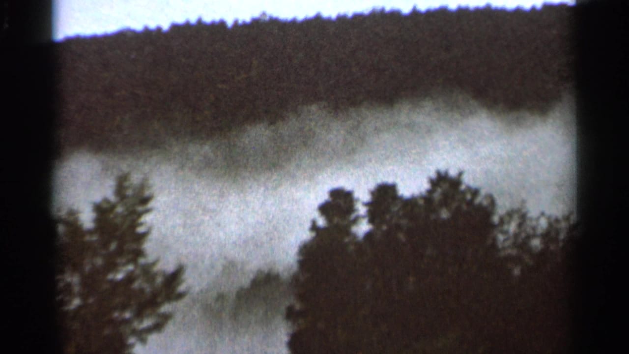 Fog lies across a forested slope behind dark foreground trees.