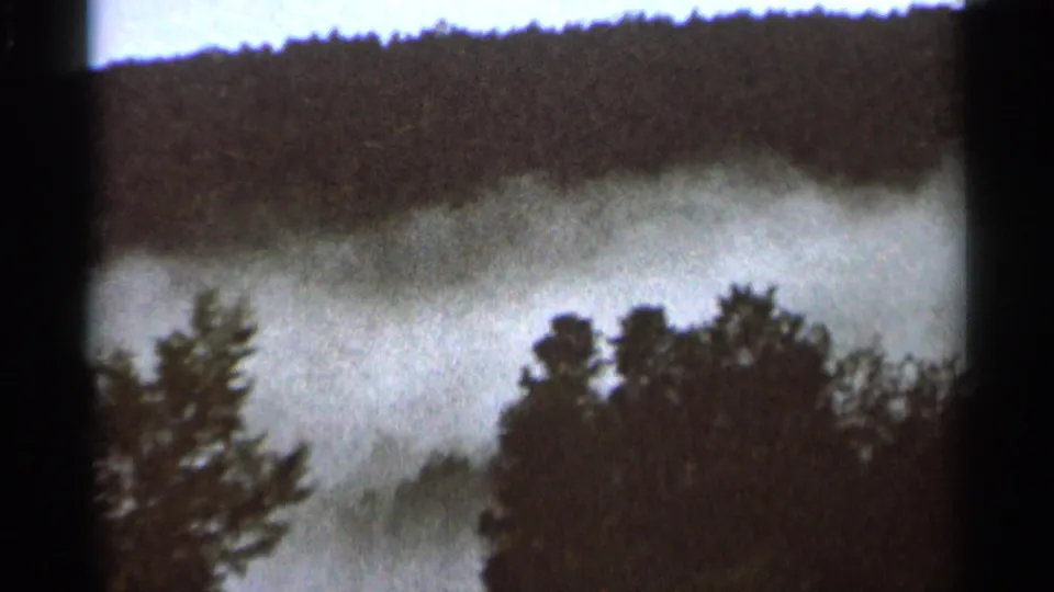 Fog and dark tree silhouettes fill a 1966 Hamel, Minnesota travel frame, with a wooded ridge in the distance.