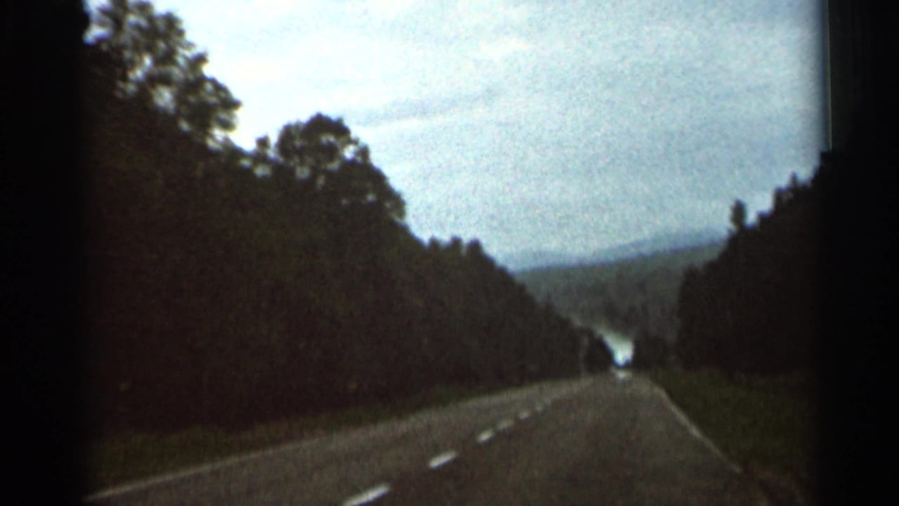 1966 8mm frame from Hamel, Minnesota, showing a tree-lined two-lane highway viewed from a moving vehicle.