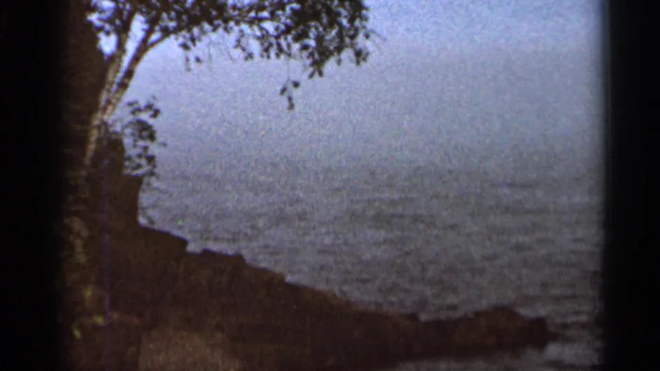 Soft 8mm view of water and shoreline framed by overhanging branches, associated with the Hamel, Minnesota clip metadata.