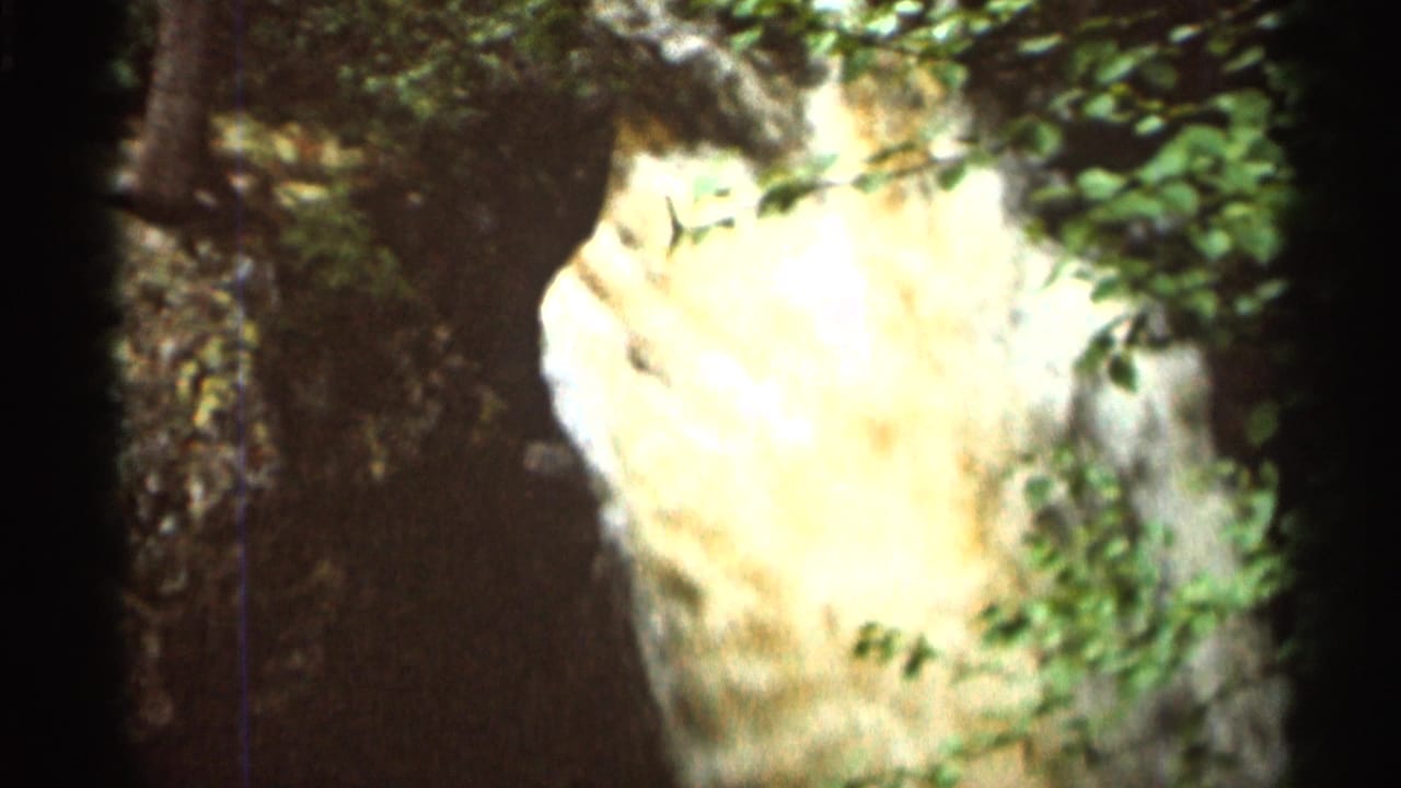 1966 Hamel, Minnesota 8mm frame showing sunlit waterfall spray behind leafy branches and dark shaded forest edges.