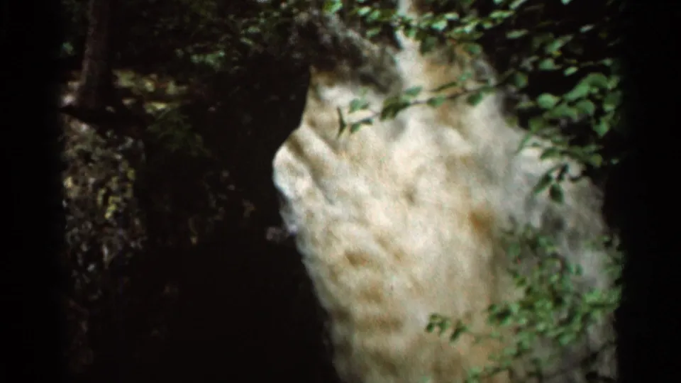 1966 Hamel, Minnesota 8mm frame with a pale falling-water surface partly obscured by foliage and dark wooded margins.