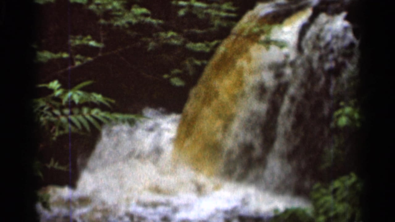Waterfall crashes into white foam beside dense green plants.