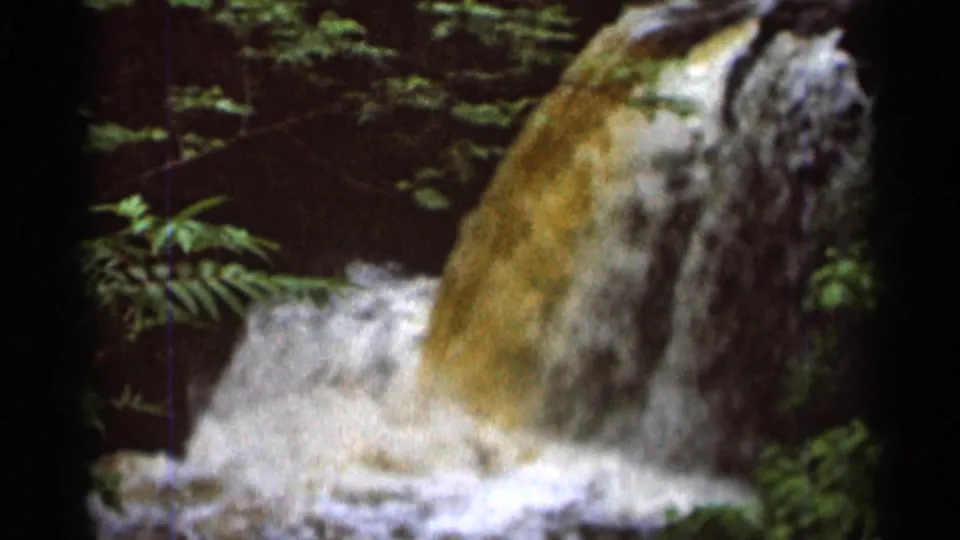The waterfall fills the frame as muddy water drops into bright foam, with leafy plants visible along the forest edge.