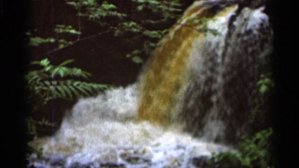 A soft-focus 8mm view shows the waterfall and churning pool, with fern-like leaves and forest plants framing the left side.