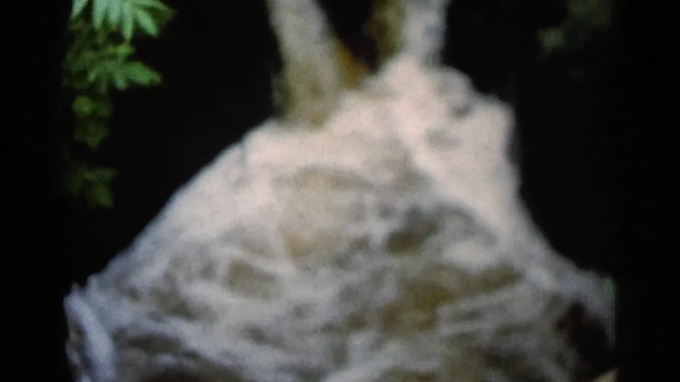 1966 Hamel, Minnesota home-movie frame showing a pale cascade dropping through a dark, wooded rock setting.