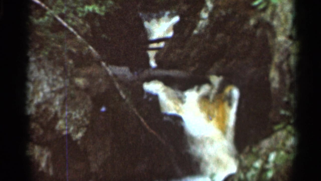 Waterfall and rocky wooded area seen from a similar angle.