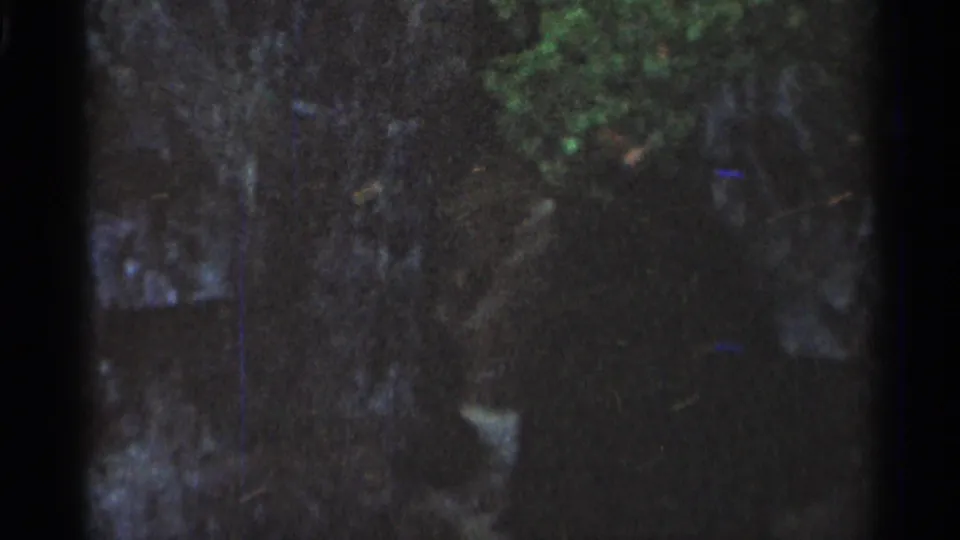 1966 Hamel, Minnesota 8mm frame showing a dim close view of stream water over rocks with a small area of green foliage.