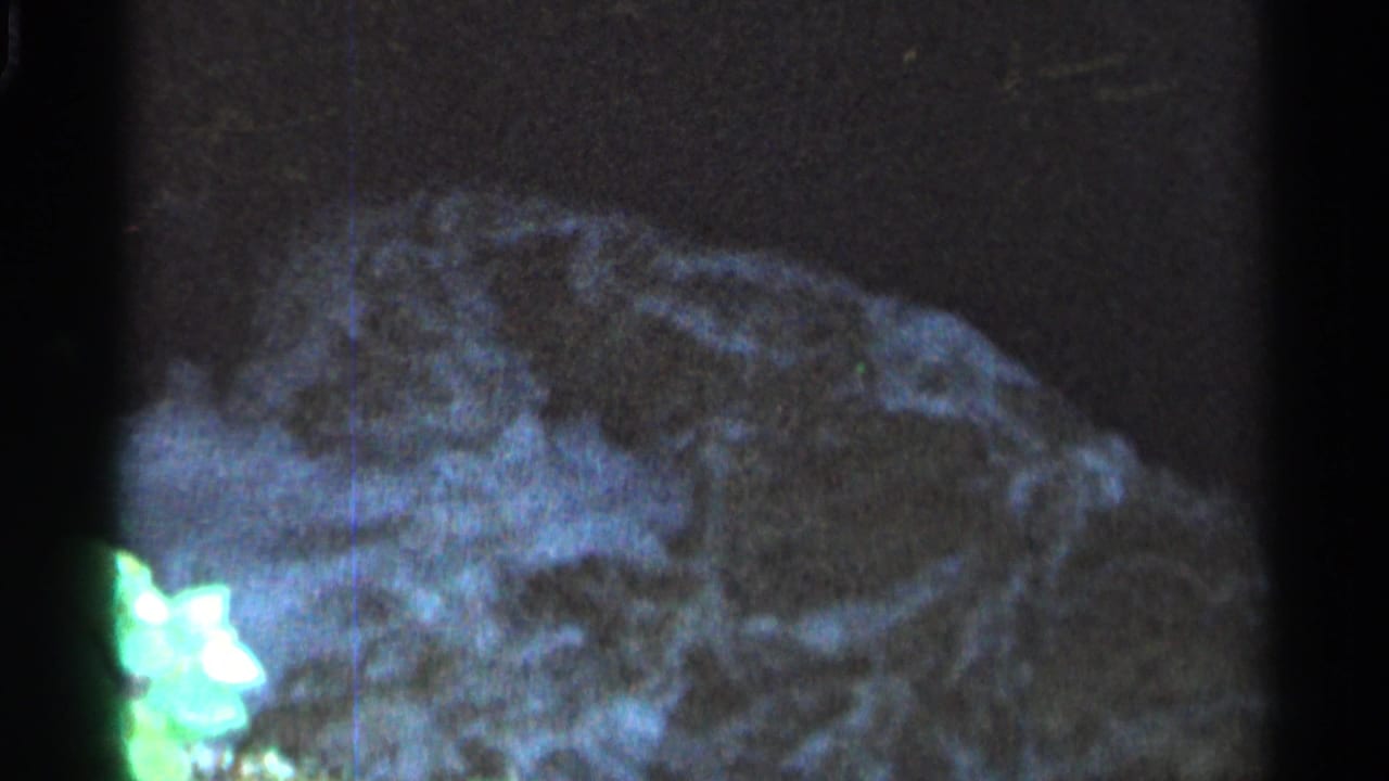 Pale moving water and foam pass over a dark rocky surface.