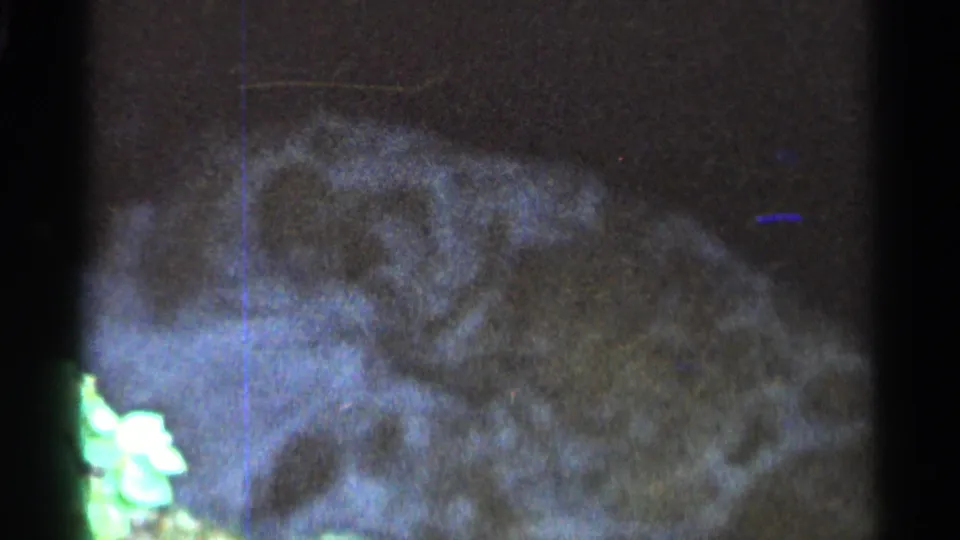 1966 Hamel, Minnesota 8mm frame showing frothy water over rocks, with a bright green foliage patch at the lower-left edge.