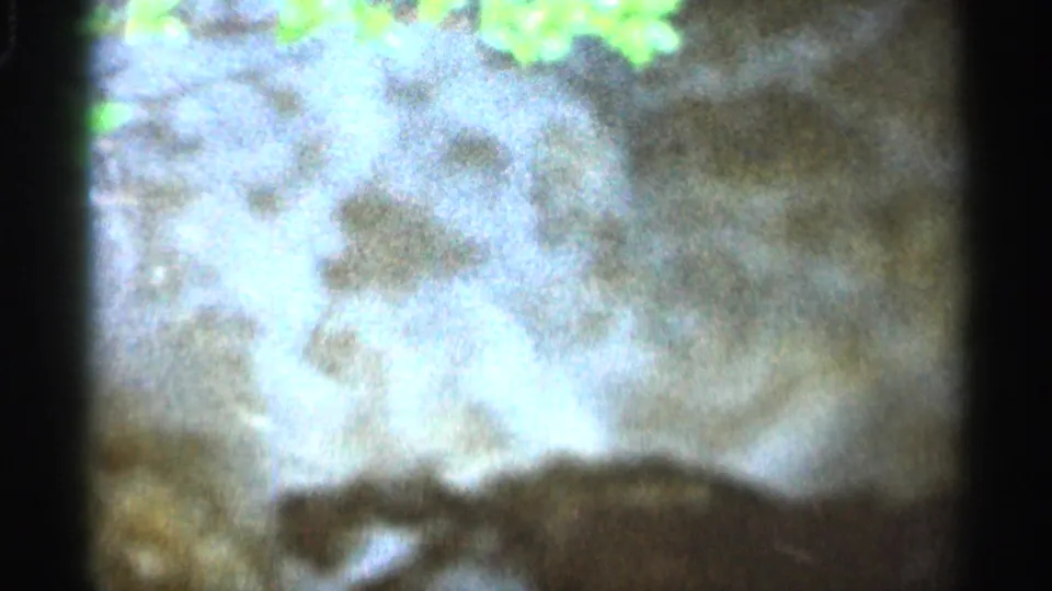 1966 8mm Hamel, Minnesota view of a flooded creek, with pale moving water, green leaves at the top, and dark film edges.