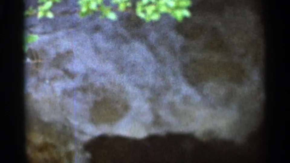Flooded rural creek in Hamel, Minnesota, seen on grainy 1966 8mm film with water, bank, foliage, and shadowed edges.