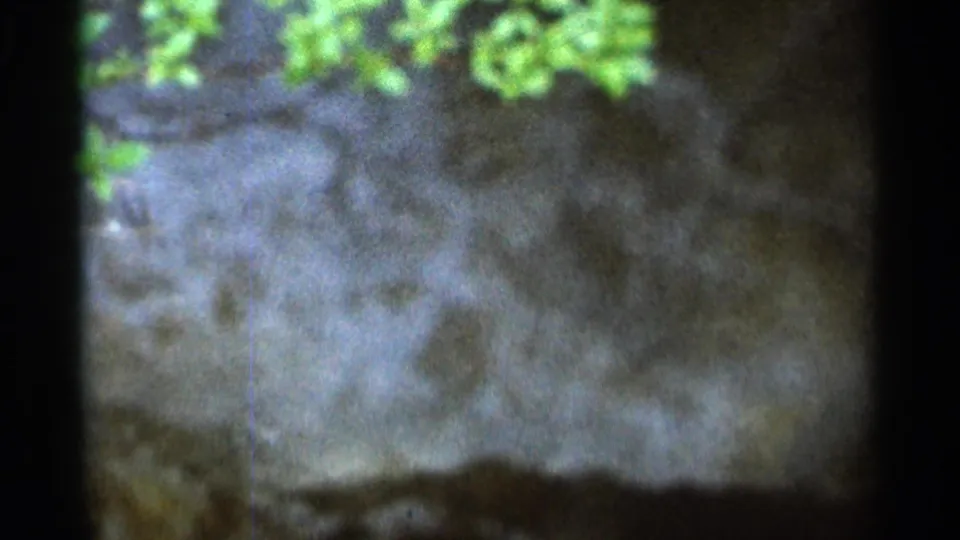 Grainy 1966 8mm frame of a flooded creek near Hamel, Minnesota, with blurred water, dark bank, and green leaves overhead.