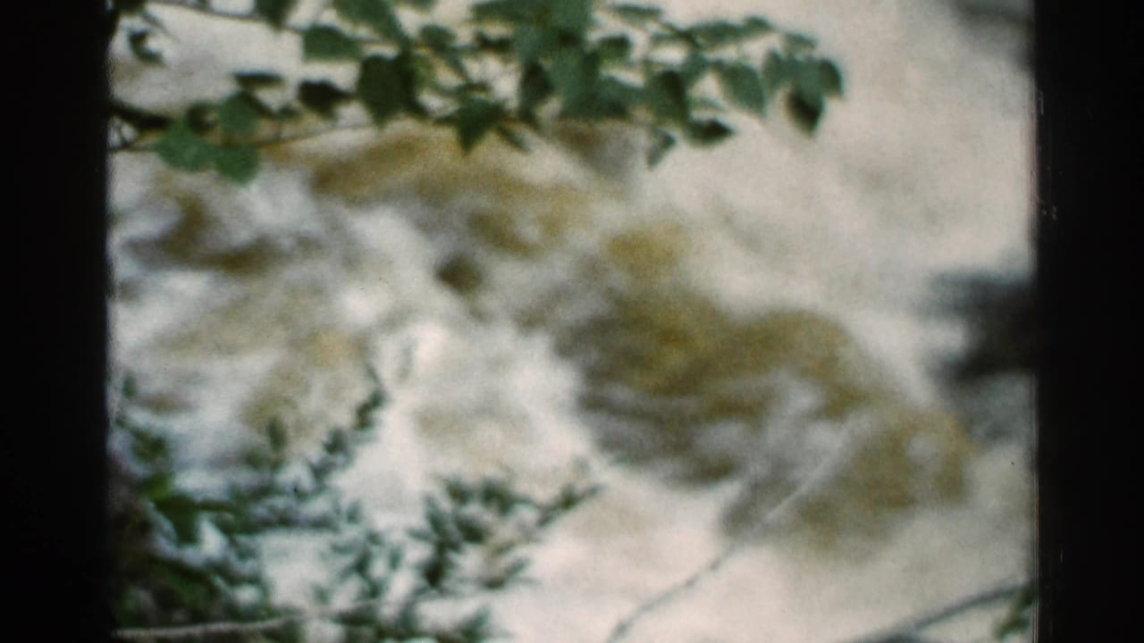 1966 Hamel, Minnesota 8mm frame showing leafy brush above soft, pale rushing water in a wooded area.