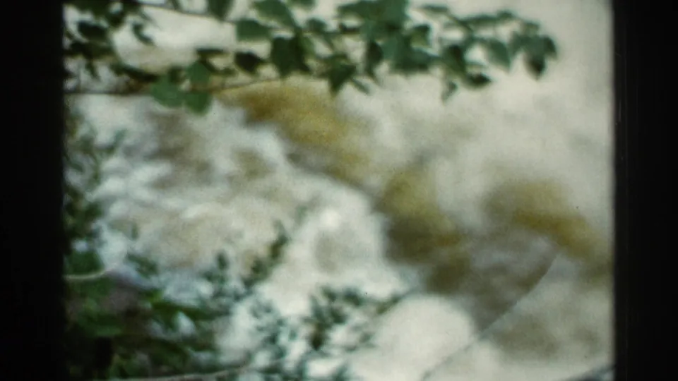 1966 Hamel, Minnesota 8mm frame showing foamy stream water through leafy brush, with soft exposure and grain.