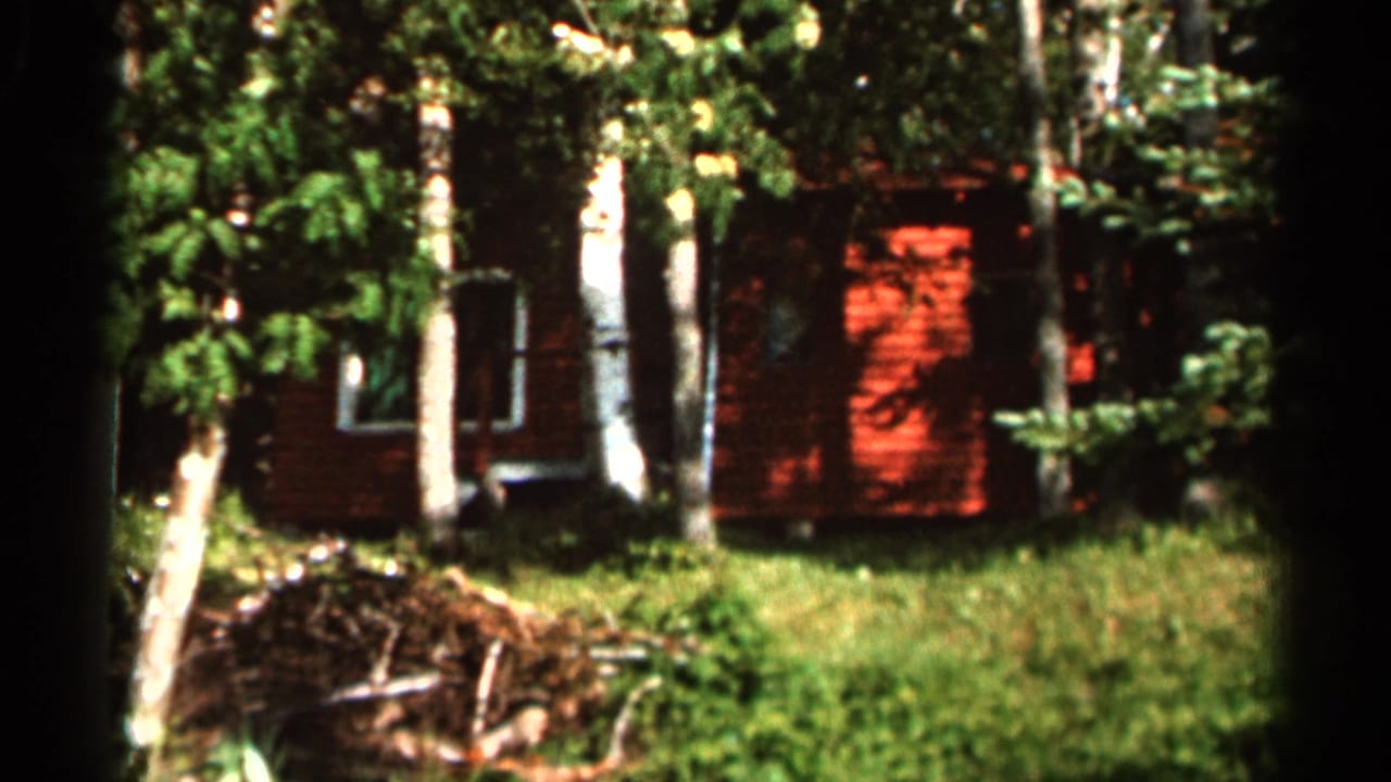 1966 8mm frame from Hamel, Minnesota showing a red cabin or house set back among tall trees and sunlit grass.