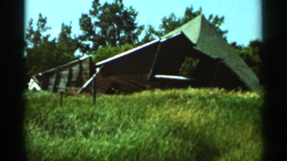 Closer 1966 Hamel, Minnesota view of the collapsed farm outbuilding or animal enclosure amid grass and trees.