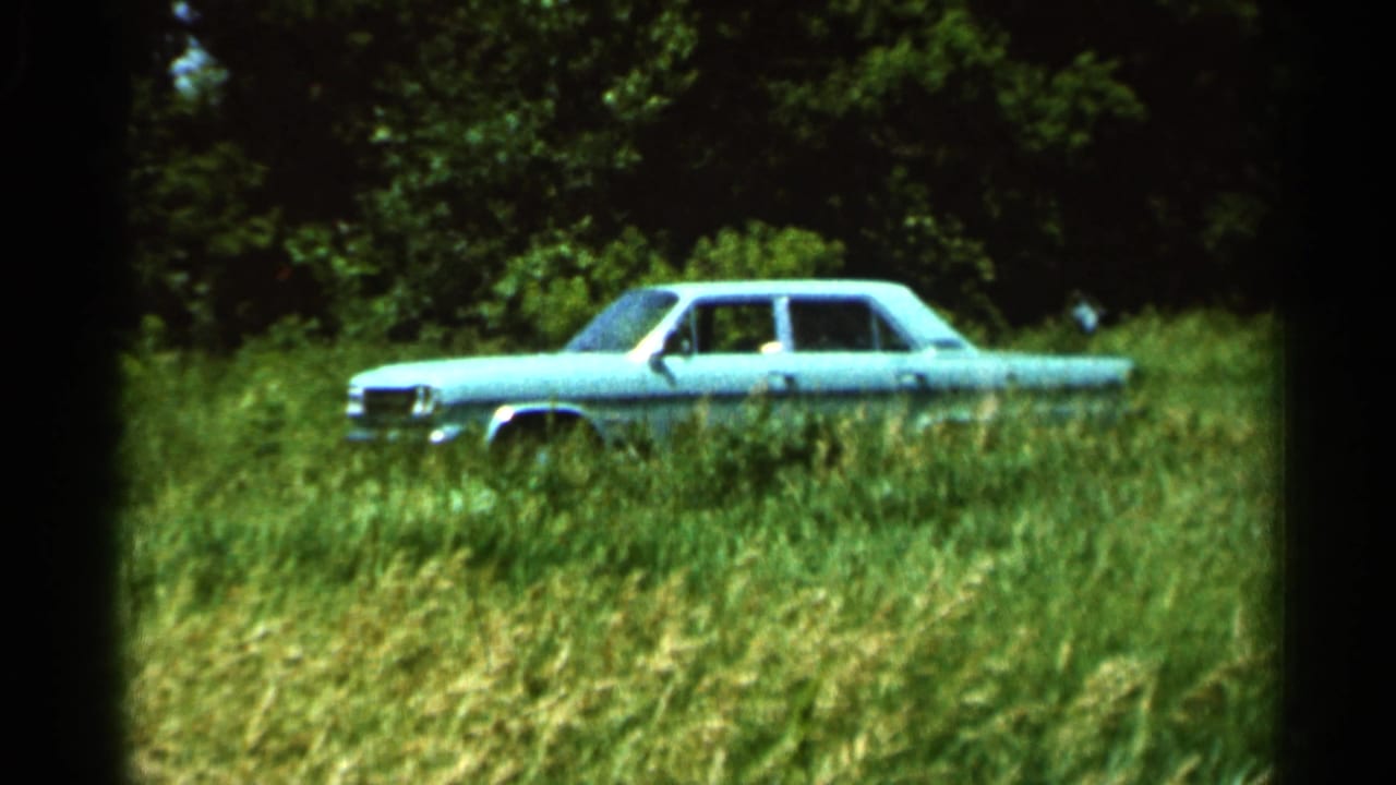 Turquoise sedan parked in tall grass beside a tree line.