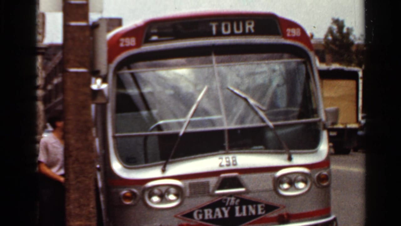 Gray Line tour bus parked on a city street with a TOUR sign above the windshield.