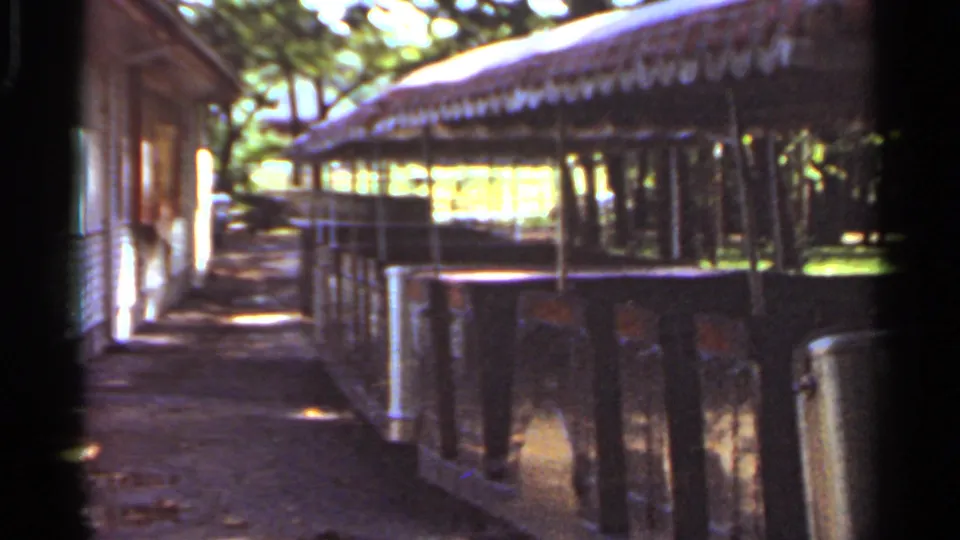 Covered walkway or platform area at Grant's Farm in Saint Louis, seen from a visitor's handheld 8mm camera.