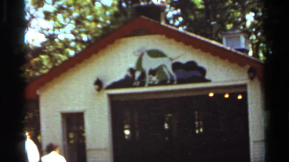 1966 Saint Louis amusement park frame showing a small building with a painted dog mural over a dark entrance.