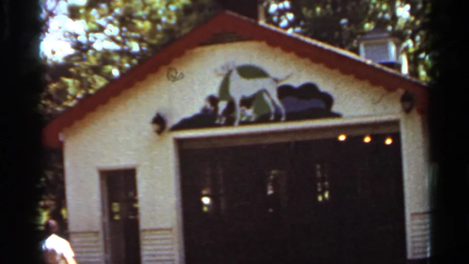 1966 Saint Louis frame of an amusement park building facade with a dog mural and a distant visitor near the edge.