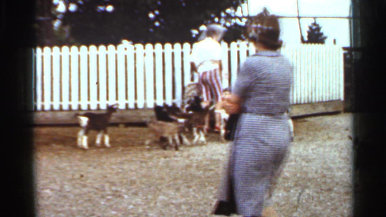 Woman and child-sized visitor stand near small goats inside a fenced gravel enclosure.