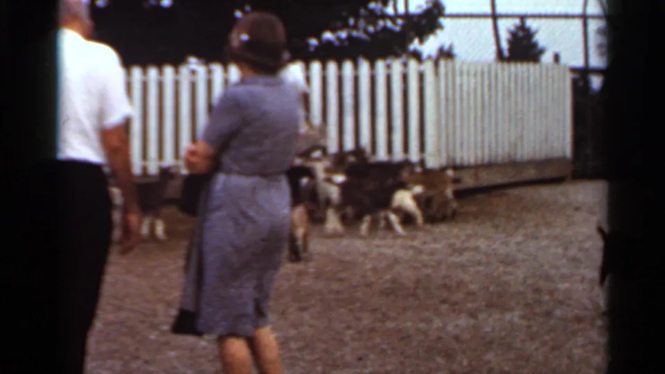 A 1966 Saint Louis home-movie view shows adults from behind as young goats move around the gravel petting zoo enclosure.