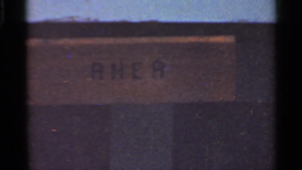 Close 8mm frame of a wooden zoo sign with the carved word RHEA, consistent with the bird shown in the clip.