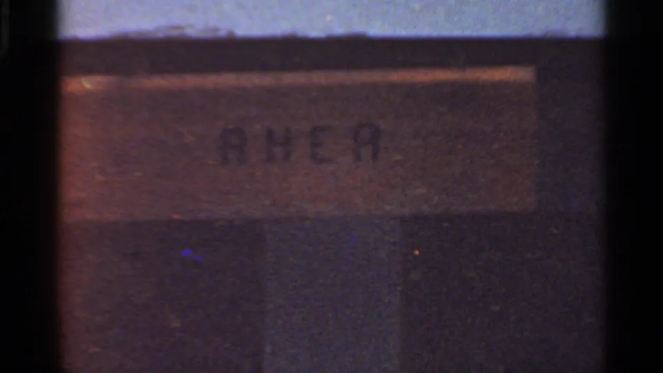 1966 Saint Louis zoo home-movie frame showing a close-up of a wooden RHEA species sign in warm faded color.