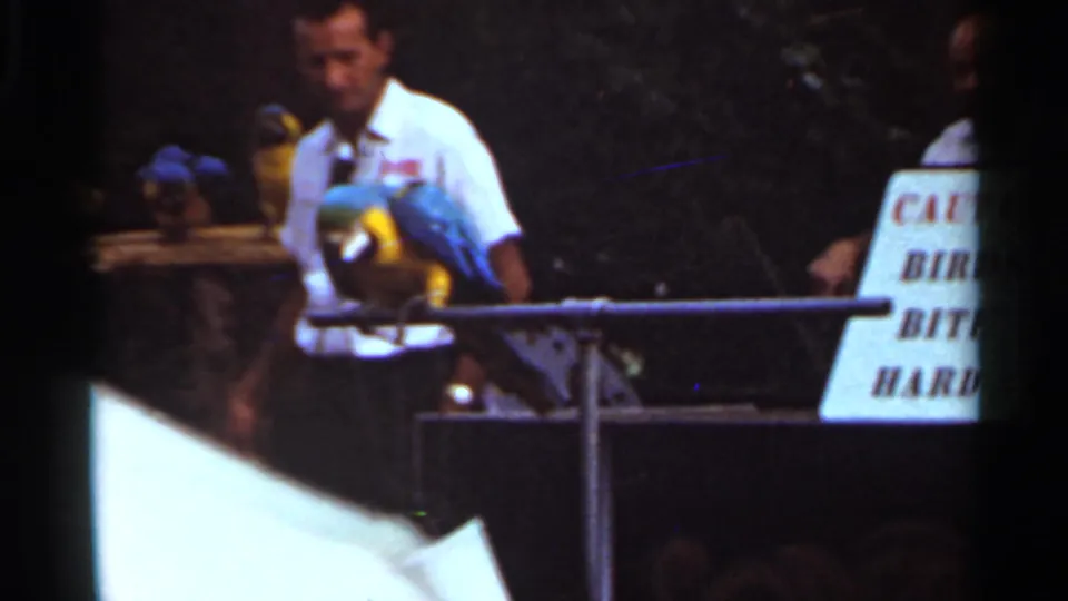 A Saint Louis zoo exhibit frame shows the handler, a blue and yellow macaw, and a sign warning that the bird bites hard.