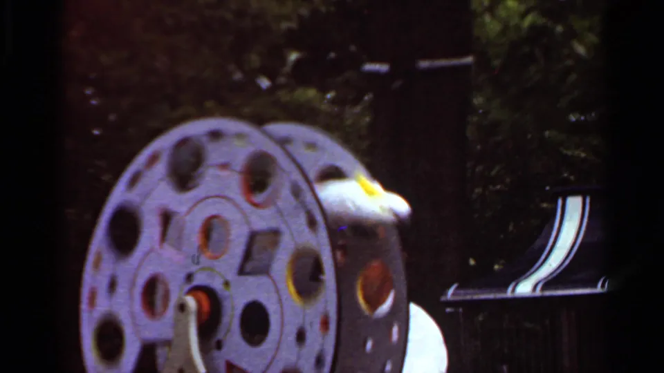 White cockatoo appears near a circular prop wheel and stage equipment in the 1966 Saint Louis animal performance footage.