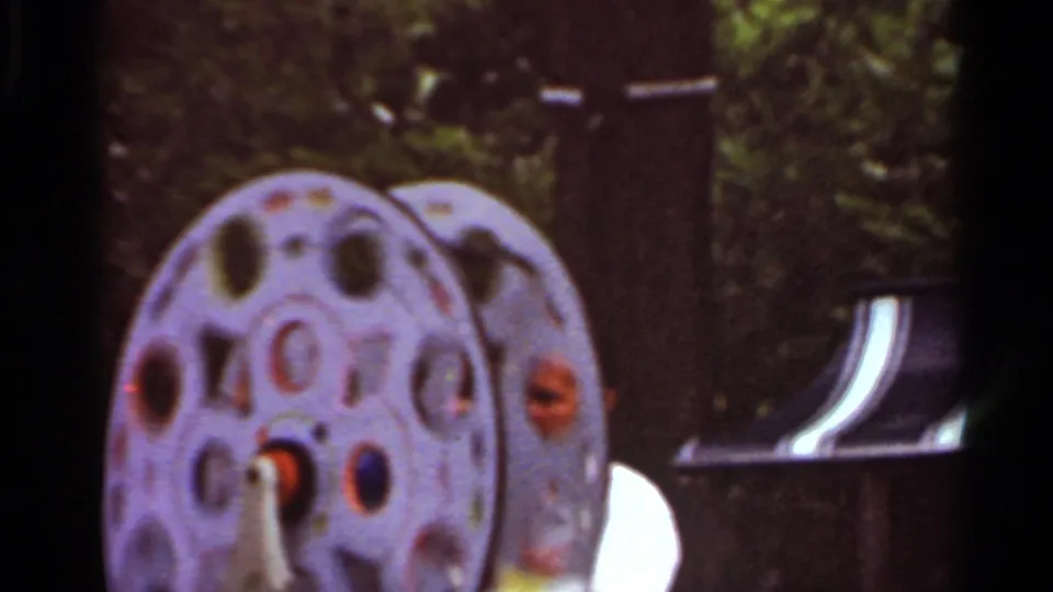 Close 8mm view of the circular bird stand, with the white cockatiel partly visible against foliage in Saint Louis metadata context.