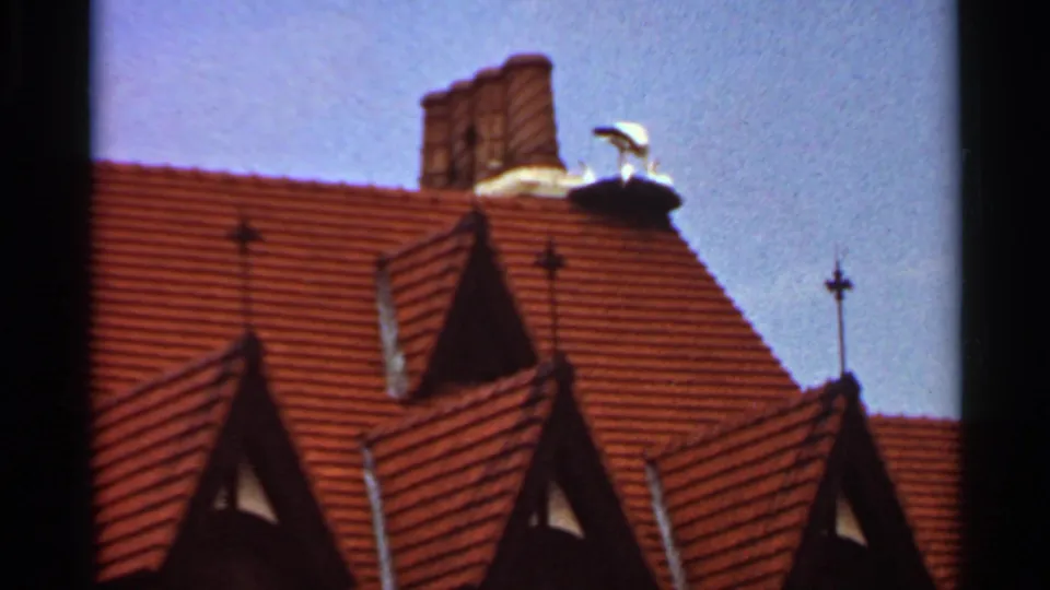 1966 Saint Louis frame showing red clay roof tiles, dormer windows, a chimney, and a roof ornament in a public-attraction setting.
