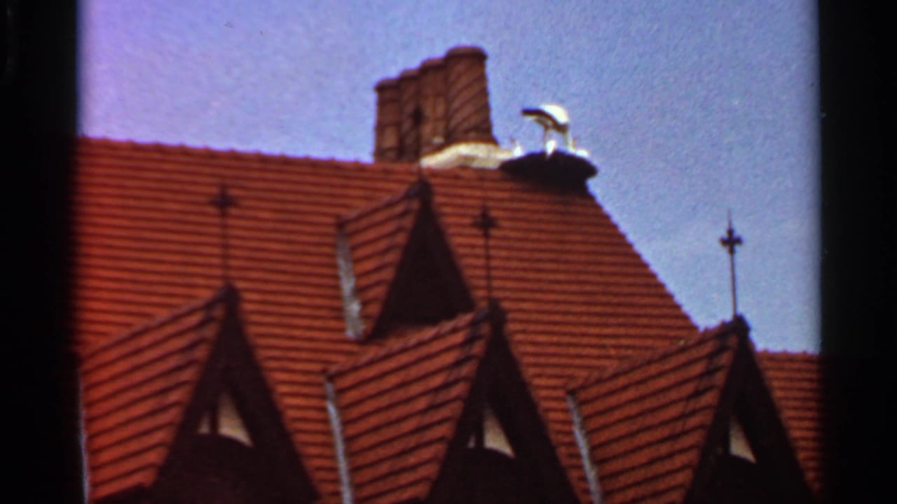 Red tiled roof with steep gables, brick chimney, and a white bird near the chimney.