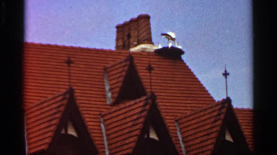1966 Saint Louis 8mm frame showing a red tiled roof, steep gables, a brick chimney, and a white bird perched near the top.