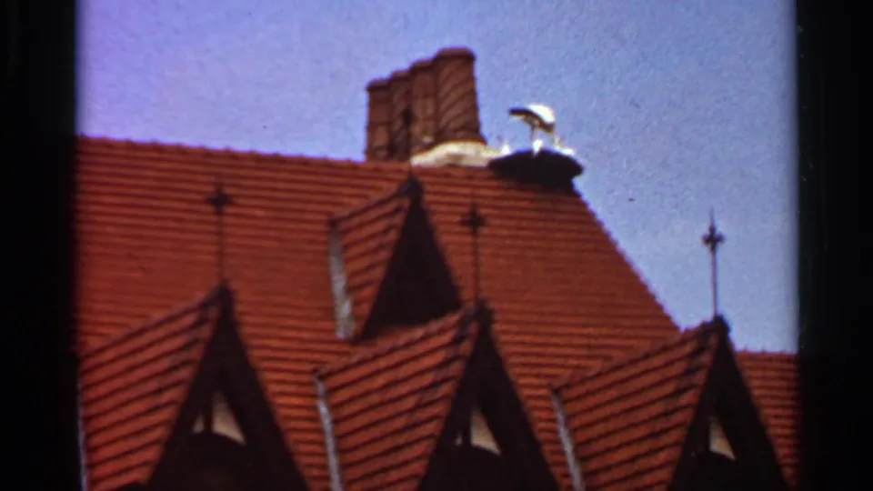 1966 Saint Louis home-movie frame with red roof tiles, pointed gables, a chimney, and a white bird silhouetted against pale sky.